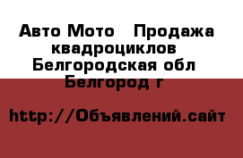 Авто Мото - Продажа квадроциклов. Белгородская обл.,Белгород г.